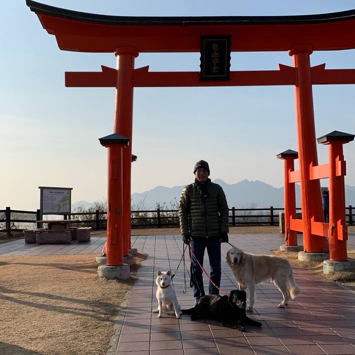 31c10c4e 93e8 46e1 8853 3bf290d50e35 1550365718548