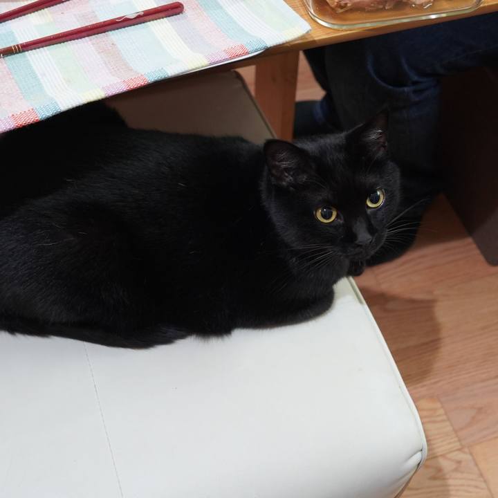 31c1518c 4438 409a abae f0f3ea03c5f6 1594683846971