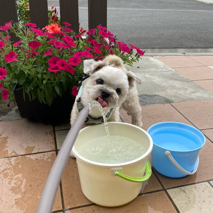 31c1bd11 3b8d 47dc ab43 b4eb9b83e6d5 1718498000380