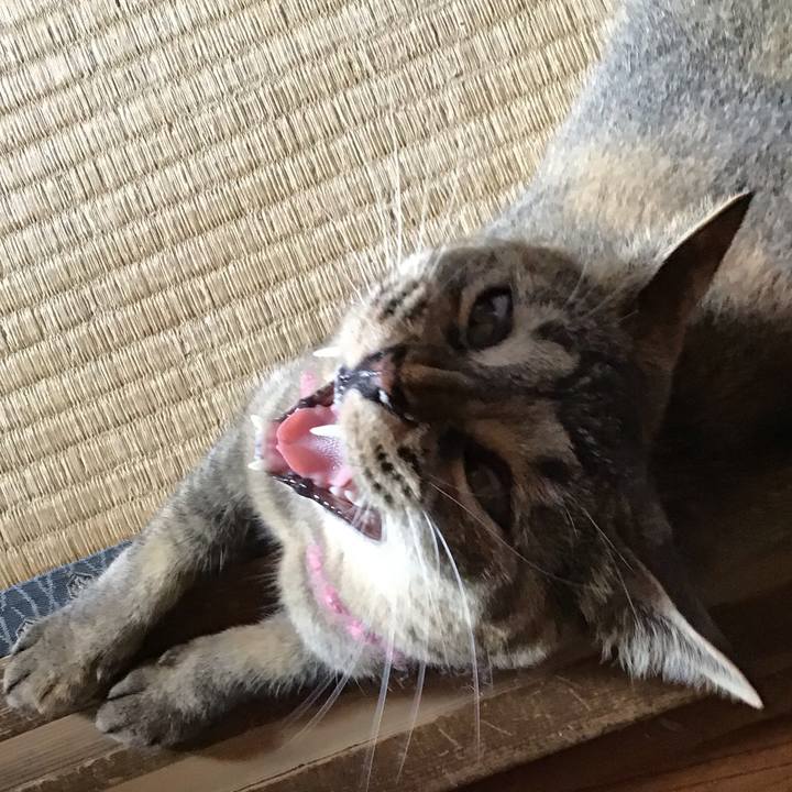 31c1d5c5 2f58 43ab acc3 ca1d3da498de 1595296997059