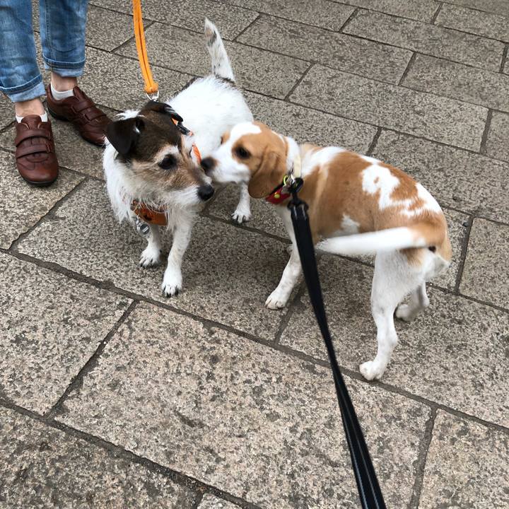 31c213cc bccc 413d b568 fc05ffbe2e94 1527394999966