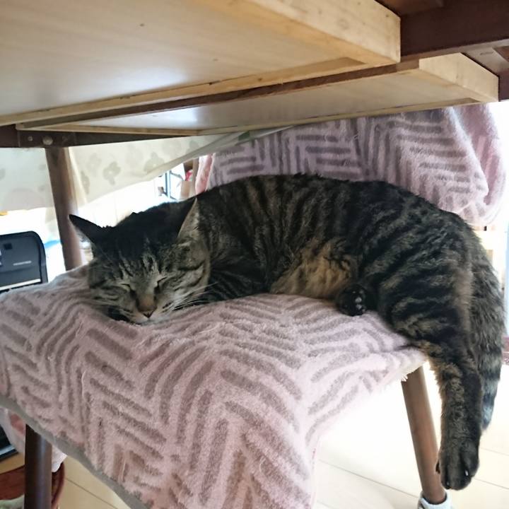 31c232e8 5547 4bba aa83 18e974c47e5b 1650578629302