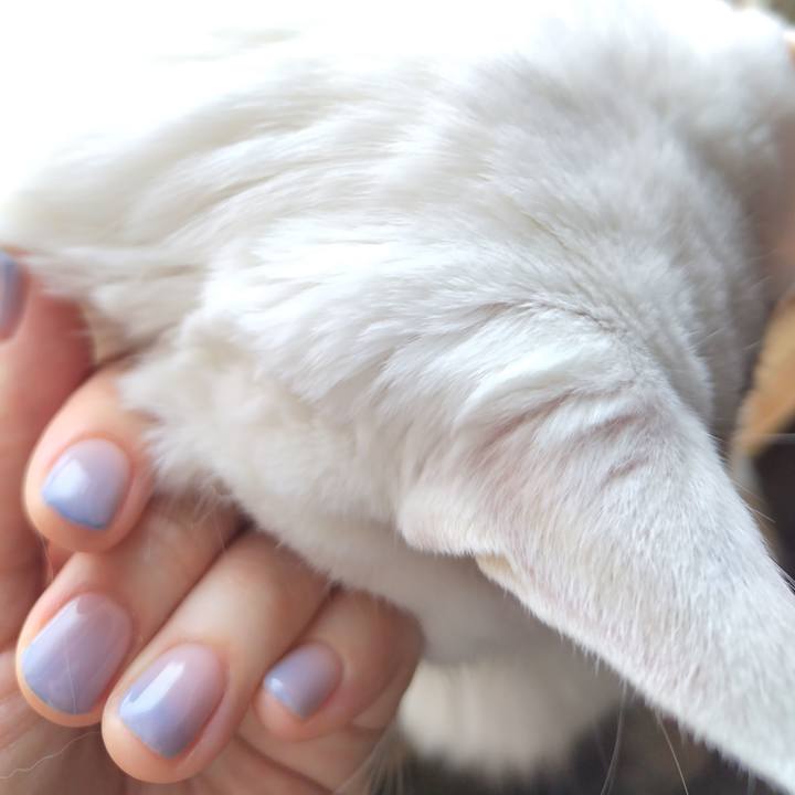 31c23d62 d34e 4a19 b9b9 6ddda77fdd5c 1774836904786