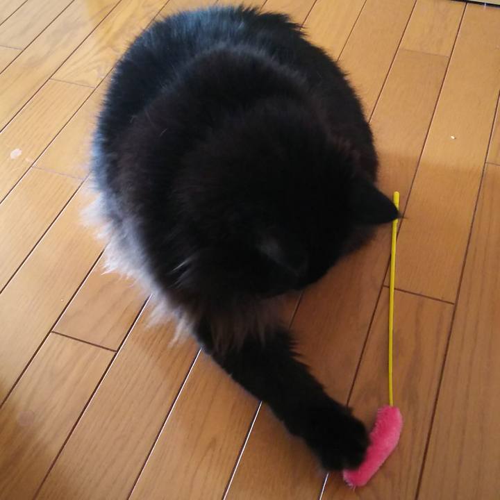 31c2529b abf6 457d baf6 05a349f70202 1575686413879