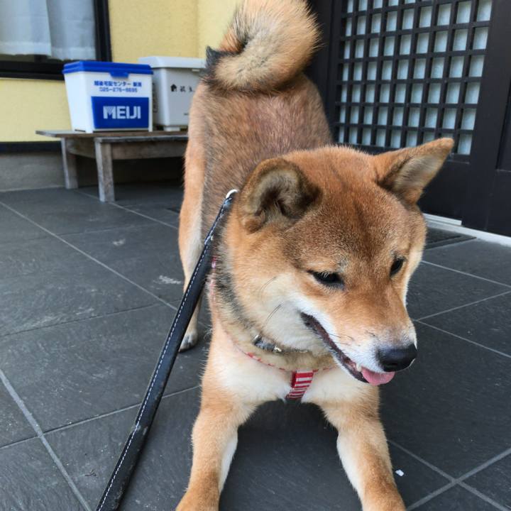 31c266a6 e326 4ff1 8849 595a0436364e 1521878371750