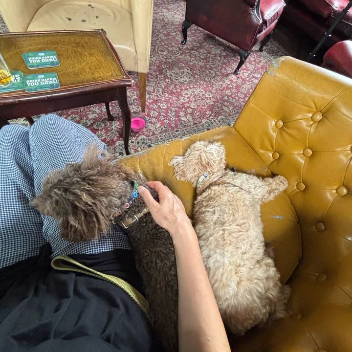 31c27b62 42d2 4961 ac8f bf190c20a2e9 1752581720691