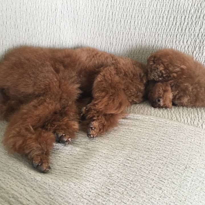 31c2a17f 15e2 411c b1d5 1e266bc16993 1522113866719