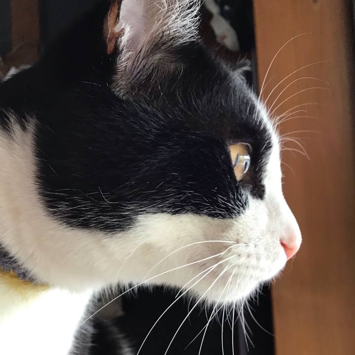 31c2c357 c008 47f5 ab7a 06ae2c7c5430 1651040763213