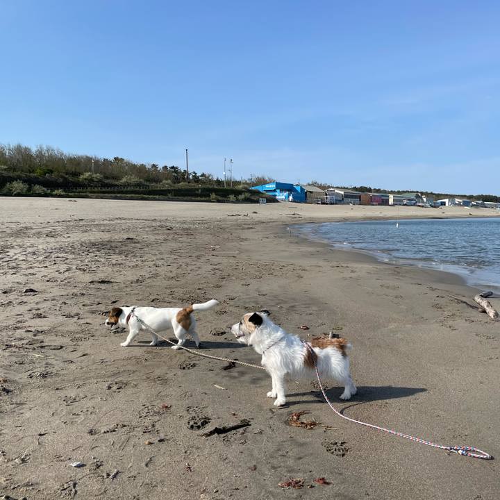 31c308c4 7a5c 45b2 a68f 6fb45ee32d7e 1683245147684