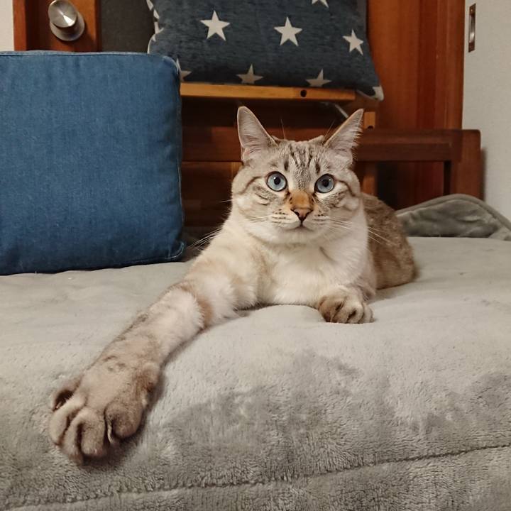 31c315b2 982b 4244 9336 34c4a0557148 1572352642820