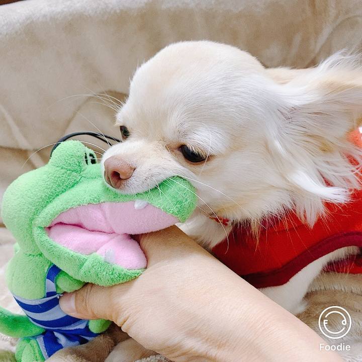 31c36a77 4082 4e0b 9dd6 cf1cae787408 1607592927834