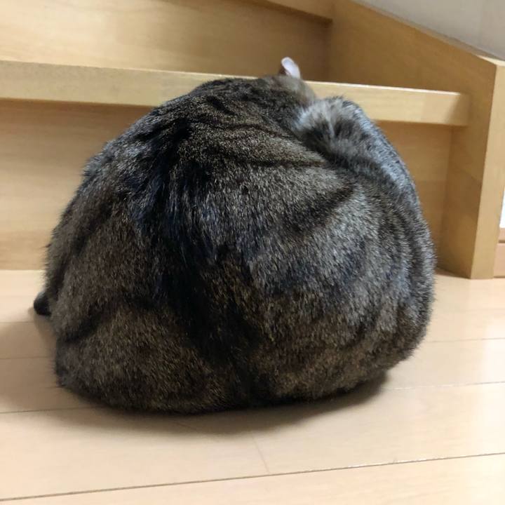 31c3a5fc 1501 4755 92e4 e2912b419bb6 1535319834116