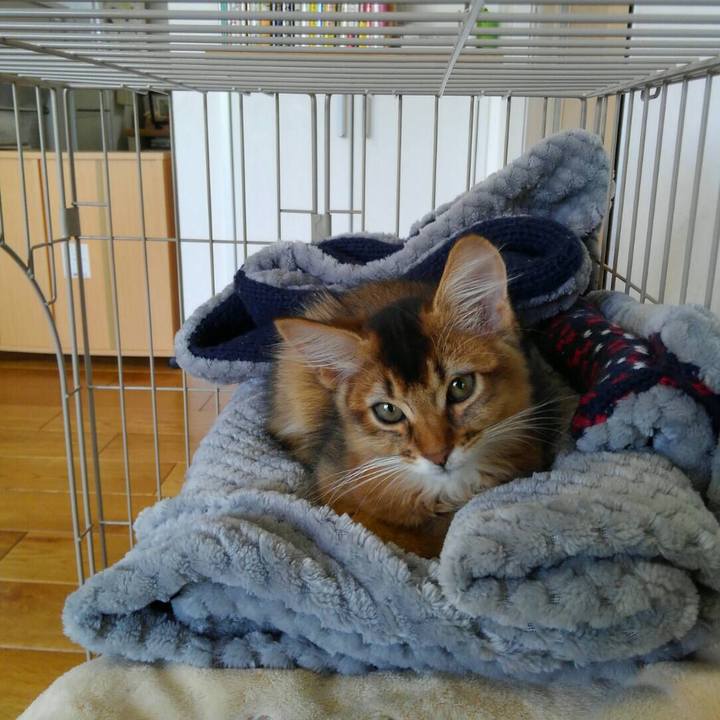 31c3c1f6 1fdc 47b6 afa7 adbcce72be2f 1571463076978