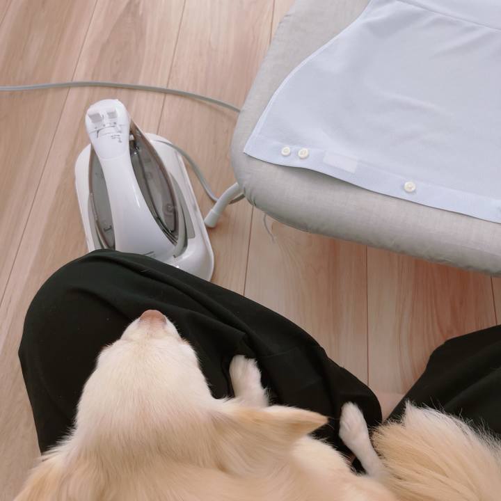 31c3c90a 92f1 4c1d b239 b21faa77ccb8 1688866013318