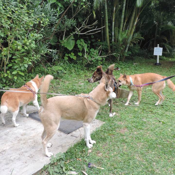 31c3e353 0301 4a9e 9296 d7c4f11bb418 1517124353405