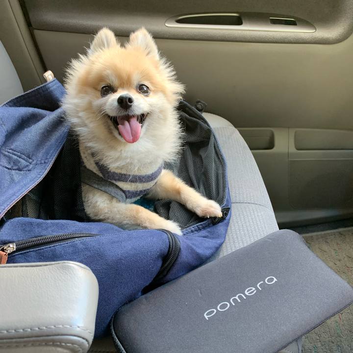 31c4013e ef04 4597 8e6b ca7a0a458415 1631691057171