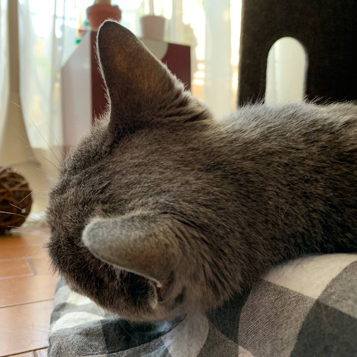 31c417c9 3681 464f 8ab6 e00d158db97f 1566426688531