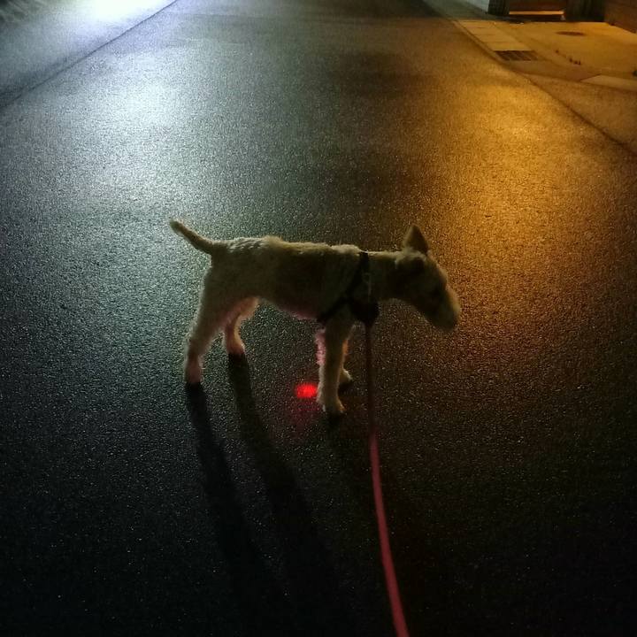 31c4192c ea9a 44be a912 a826142758ff 1624020297775