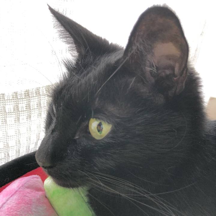 31c43b70 87c9 4449 ab7e 7093d8565026 1618628845745