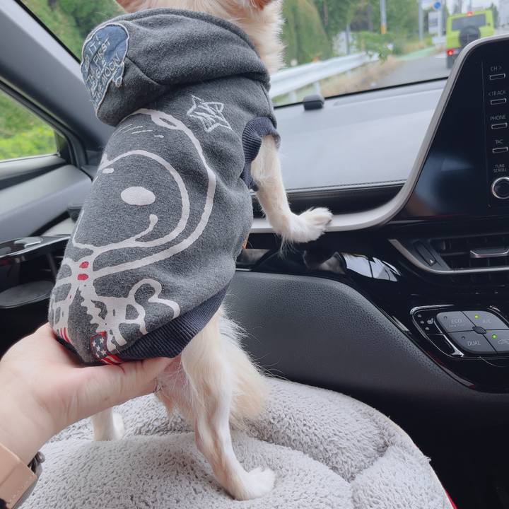 31c43bac a6d6 4c27 aa5d aaff76619b71 1762578501772