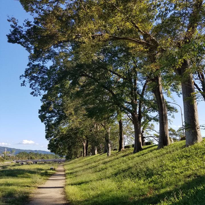 31c45c05 0a99 49f0 a809 7f4b205e60b5 1538980711190