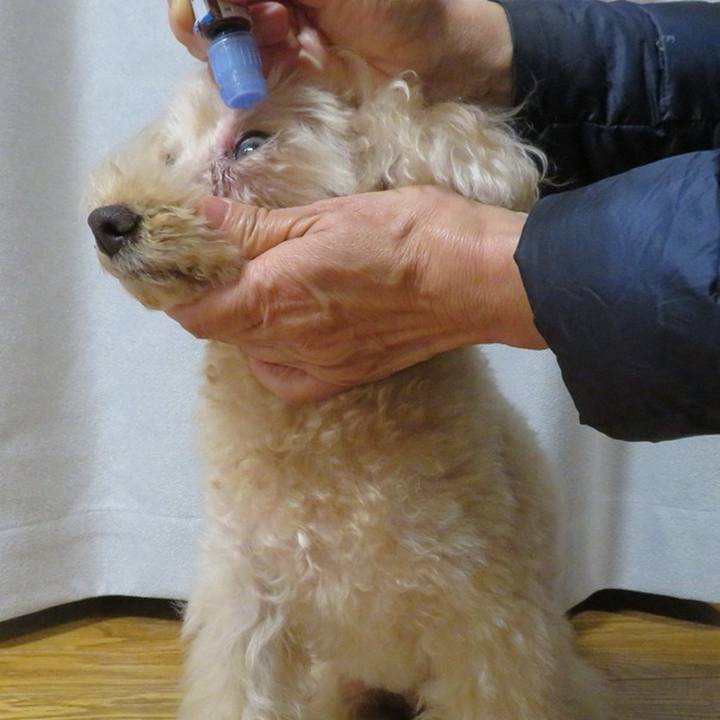 31c46183 b5e5 4043 a0ad e192097d2233 1764062869704