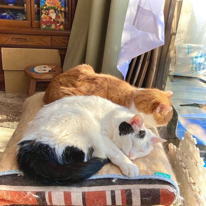 31c46d09 1bf3 47f4 b069 8431bdd2d1e2 1703742741075