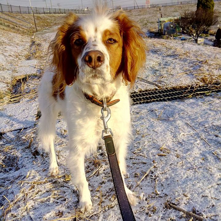 31c4e4f7 c5cc 4959 a4e8 11021e24c7c9 1517022289458