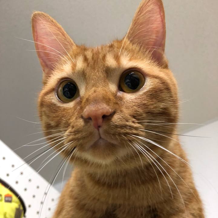 31c4f2a2 ec01 4979 ab29 b5e08726a88a 1538664885547