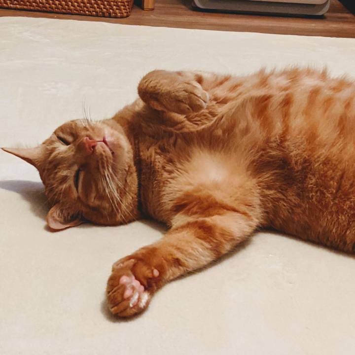 31c51404 525f 4726 9a1d 215eb89c0fe8 1626522397547