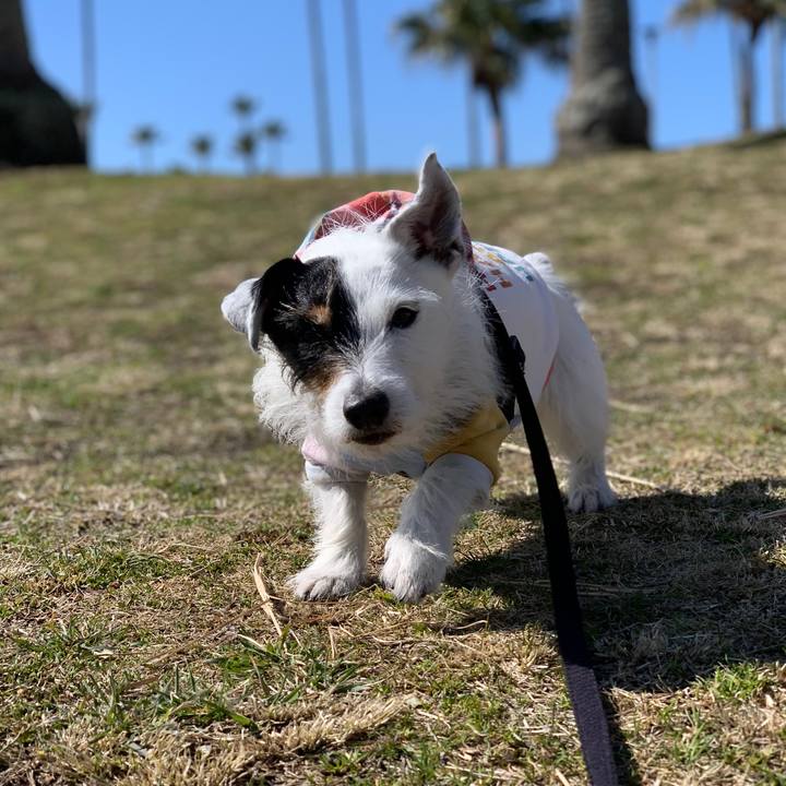 31c56b9b 9928 40ad 86d2 19f57d049252 1709951241509