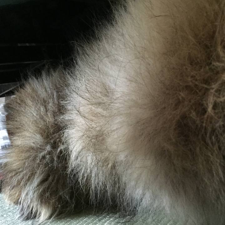 31c586eb 42cd 4d3b be52 e506ba1af1bf 1570320204274