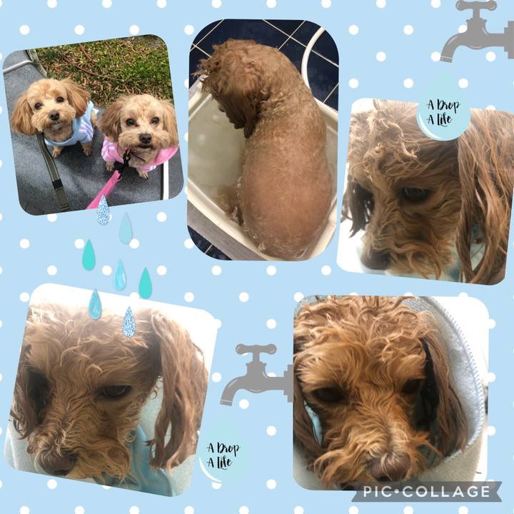 31c5a7af 5179 46d3 9529 c10779e4b9d9 1642958405478