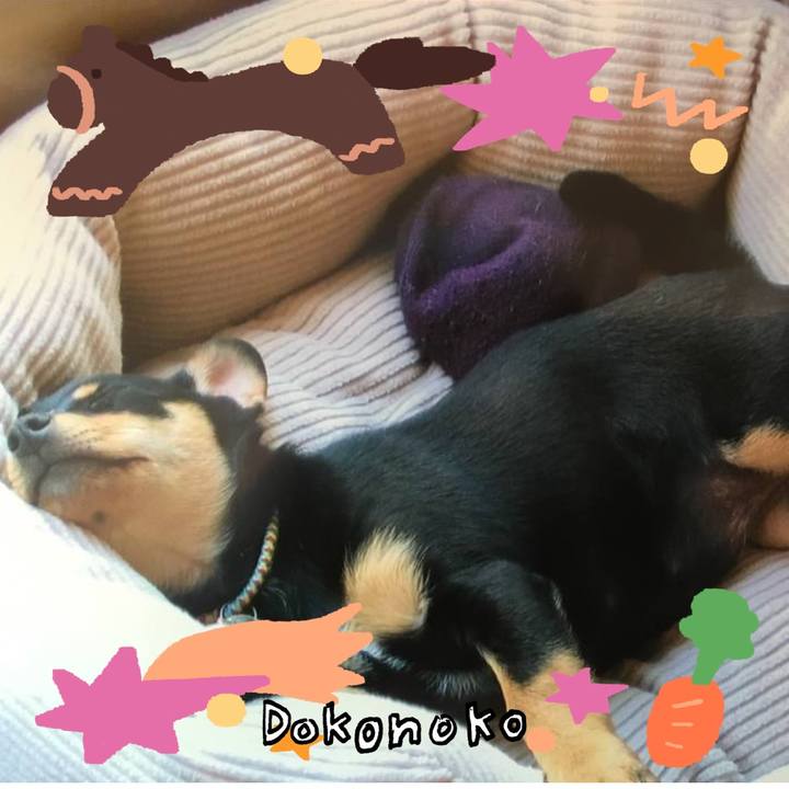 31c5b0d3 a1be 4b89 afb1 553bd2ef8c16 1772364430848