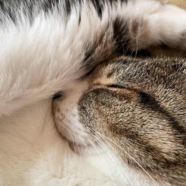 31c5b7f3 c452 4214 b8af 71dbd90a38cd 1650161823437