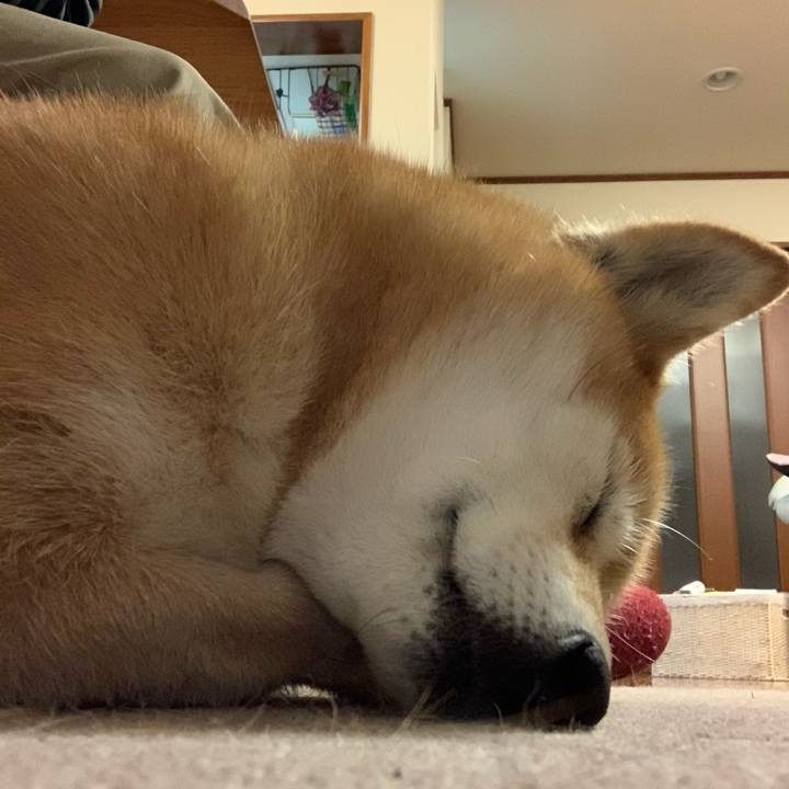 31c5d81e 0bf5 4380 b39d faf06d5457eb 1585572175475