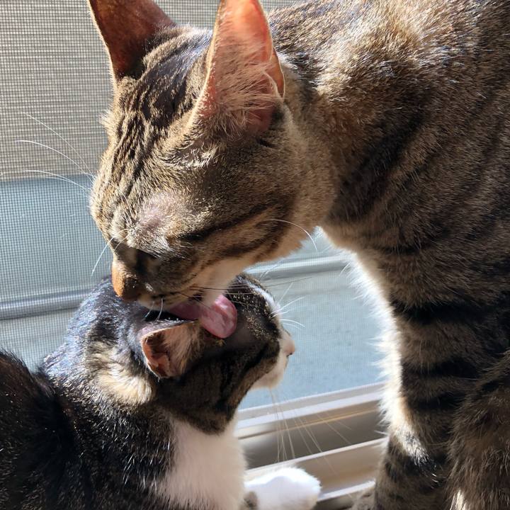 31c5ec09 7efb 4931 8a28 b4c766c2c3ad 1538110095946