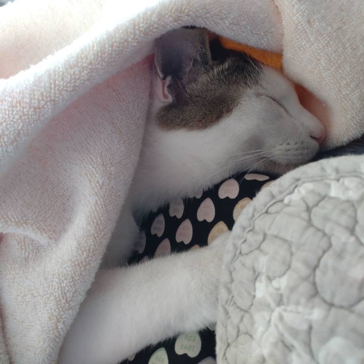 31c62a31 e217 46aa a335 d0ebd8ee4f15 1682828696594