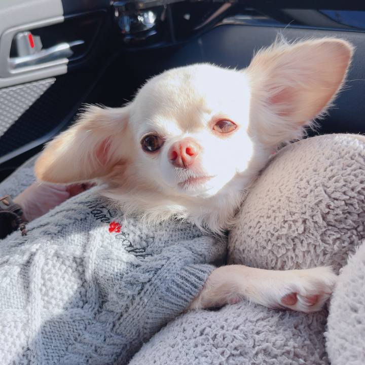 31c63620 bff1 47ff 8fe3 3af644e09f7f 1764199912135