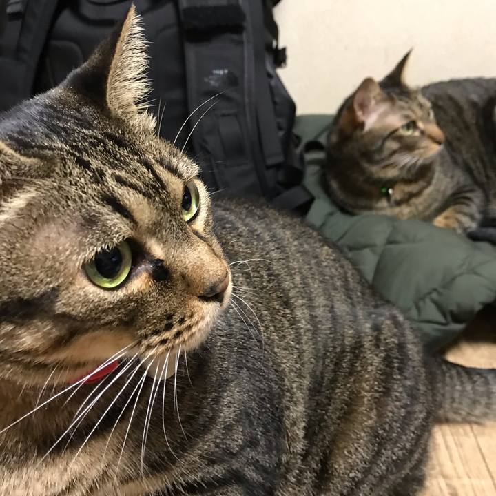 31c64178 ed0a 4525 94a4 aa1dcf7d5c85 1575647577750