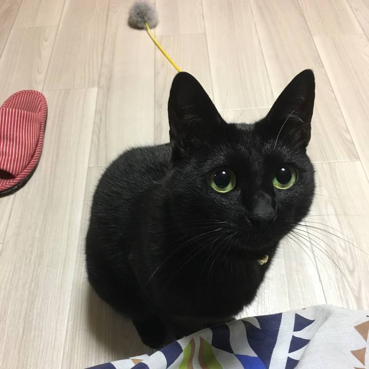 31c66ee1 3d9a 4995 8bc1 e225c649921f 1509968683641