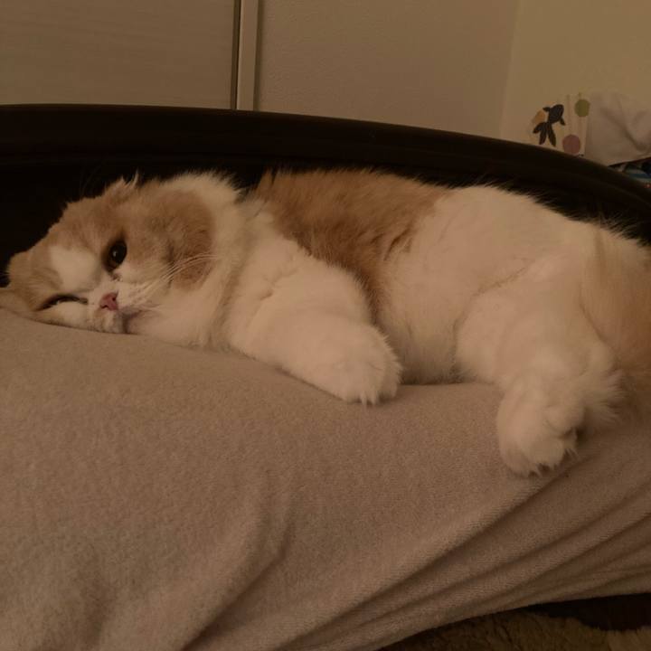 31c66fe4 86fc 470d 8c15 d158e3563c7d 1641636760436