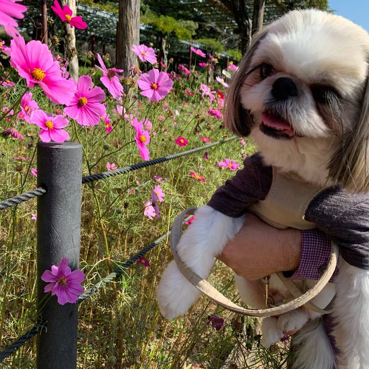 31c6ac95 2795 4bf5 83aa 1780070d41b3 1635941103481