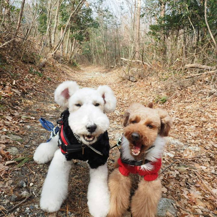 31c6ba71 6b8f 4d6d 961d a9cb96f3a127 1514175171108