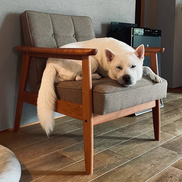 31c6e830 4625 49f4 9dc6 f458265d5c77 1630323192856