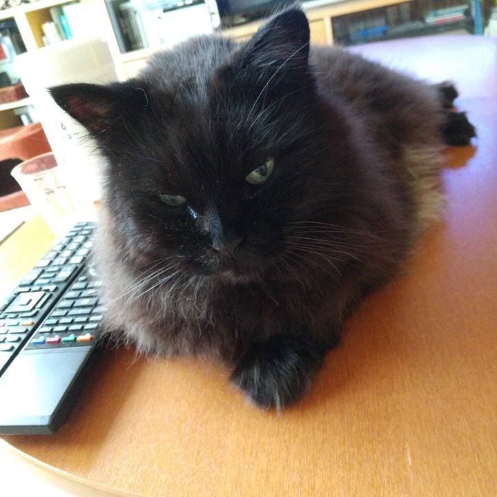 31c72607 5323 4081 832d 14b107d19d29 1655628839138