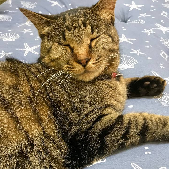 31c76f59 74ad 4a5e 97c5 4a88ddf81d9a 1528117046946