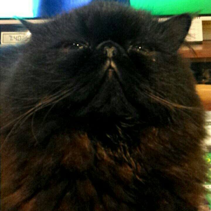 31c77c0b d39a 4fdc be81 559c1cc56070 1521806280926