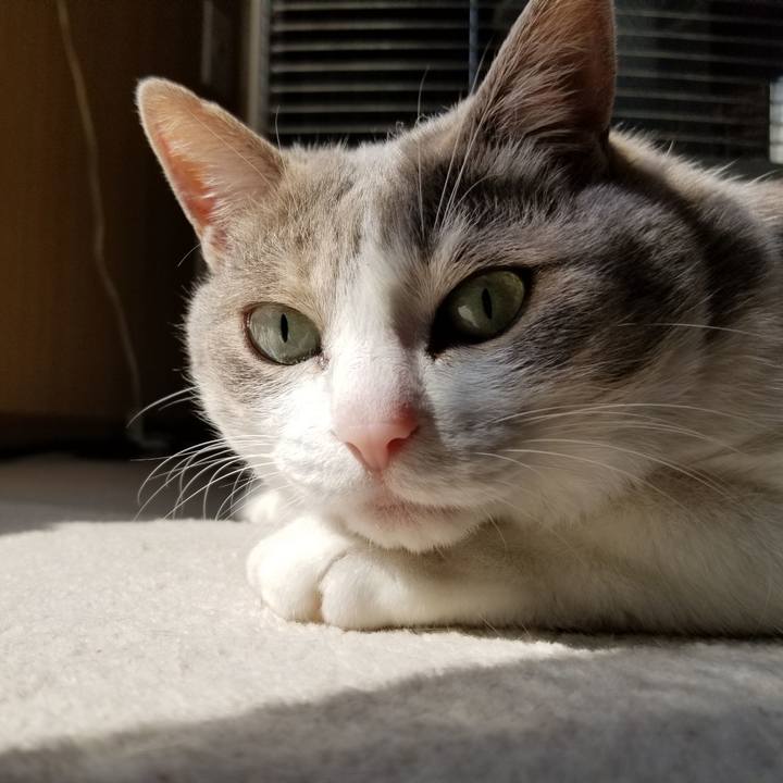 31c78599 7124 4cb7 ba22 0cbb8c7b6f4a 1650454354724