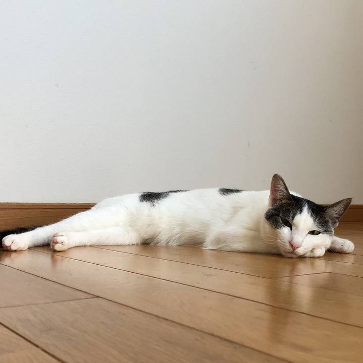 31c78622 e636 4836 b171 116ebda59d70 1597544610754